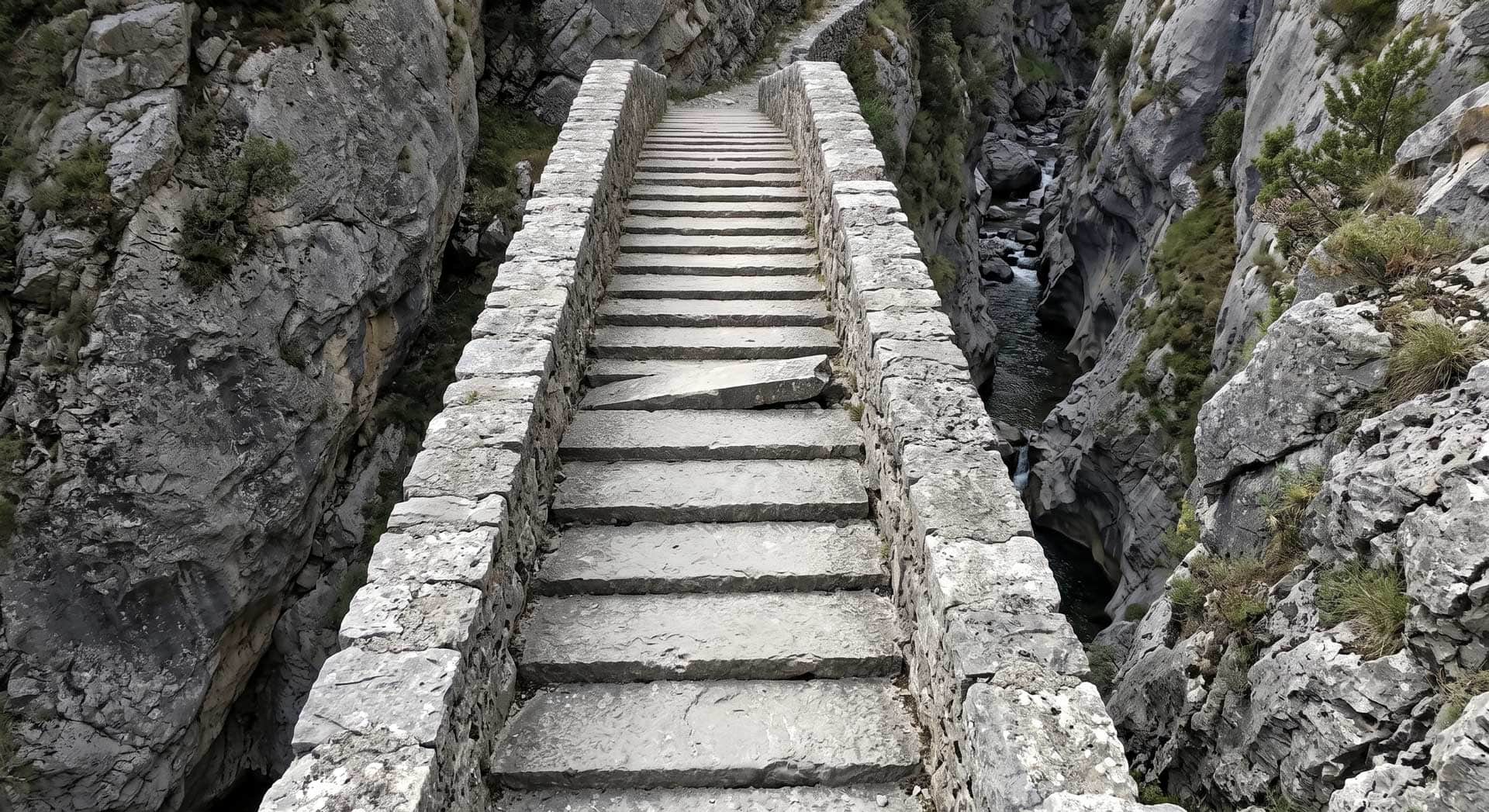 L'inégalité forcée. Pourquoi l'équilibre ne dure jamais.